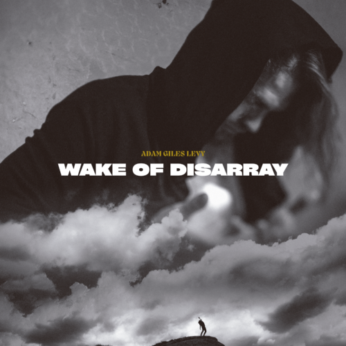 AdamGilesLevy_WakeofDisarray_CoverArt_3000x3000px